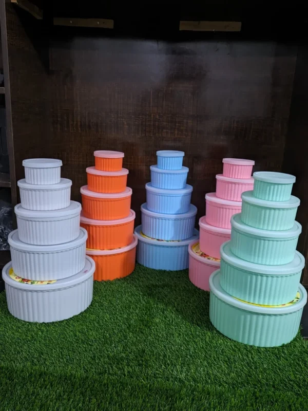Plastic Bowl Set 5-Pcs/ Next Icon Plastic Food Container Set with Lid - Random Color